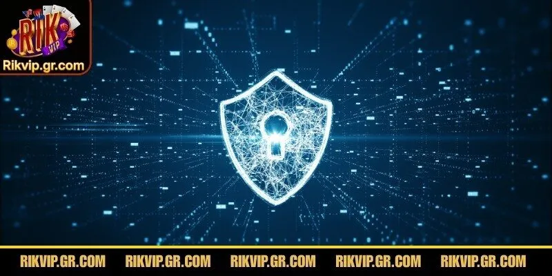 Quyền lợi thiết thực dành cho các thành viên tham gia